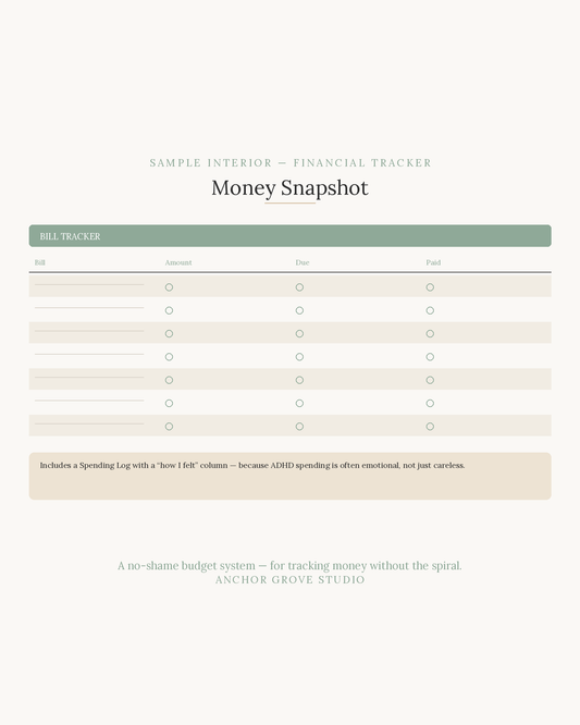 ADHD Financial Tracker Money Snapshot —ADHD Financial Tracker  sample interior page